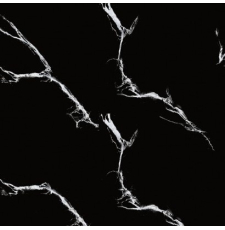 Напольная плитка-керамогранит Netto Plus Stardust 60x60 marmo black sugar, черный