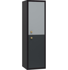 Шкаф-пенал Brevita 50 Shades of Grey Кристиан 35 подвесной, 2 дв., правый, черный\серый, золото