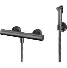 Термостатический смеситель с гигиеническим душем Whitecross Y SYSYBI3GM, настенный, оружейная сталь