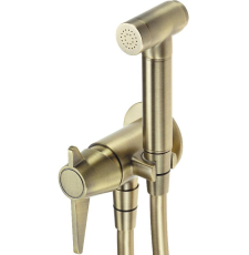 Смеситель с гигиеническим душем Deante Temisto Brass BQT M34M встраиваемый, латунь