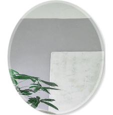 Зеркало Алмаз-Люкс C 50x60 8с-С/056