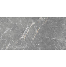 Настенная плитка Beryoza Ceramica Capella 50x25 серый