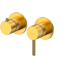 Смеситель для душа Whitecross Y Y1242GLB, встраиваемый, 2 функции, брашированное золото