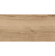 Напольная плитка-керамогранит Cersanit Woodhouse 59.8x29.7, темно-бежевый