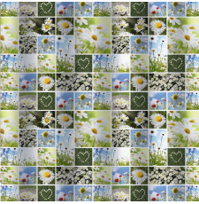 Шторка для ванны Санакс Ромашковое поле 180x180 01-39 Шторка для ванны Санакс Ромашковое поле 180x180 01-39