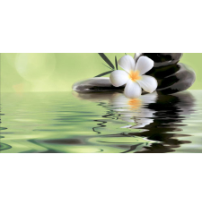 Плитка-панно настенное Beryoza Ceramica Ливадия 50x25, салатный, 2