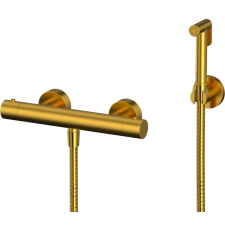 Термостатический смеситель с гигиеническим душем Whitecross Y SYSYBI3GLB, настенный, брашированное золото