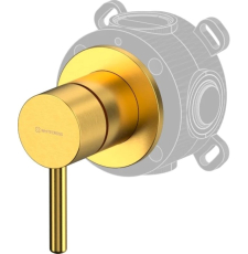 Смеситель для душа Whitecross Y Y1241GLB, встраиваемый, 1 функция, брашированное золото