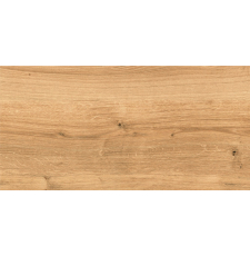 Напольная плитка-керамогранит Cersanit Woodhouse 59.8x29.7, коричневый