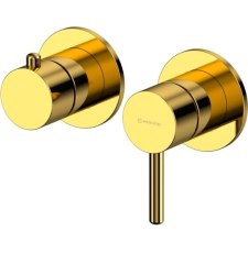 Смеситель для душа Whitecross Y Y1242GL, встраиваемый, 2 функции, золото